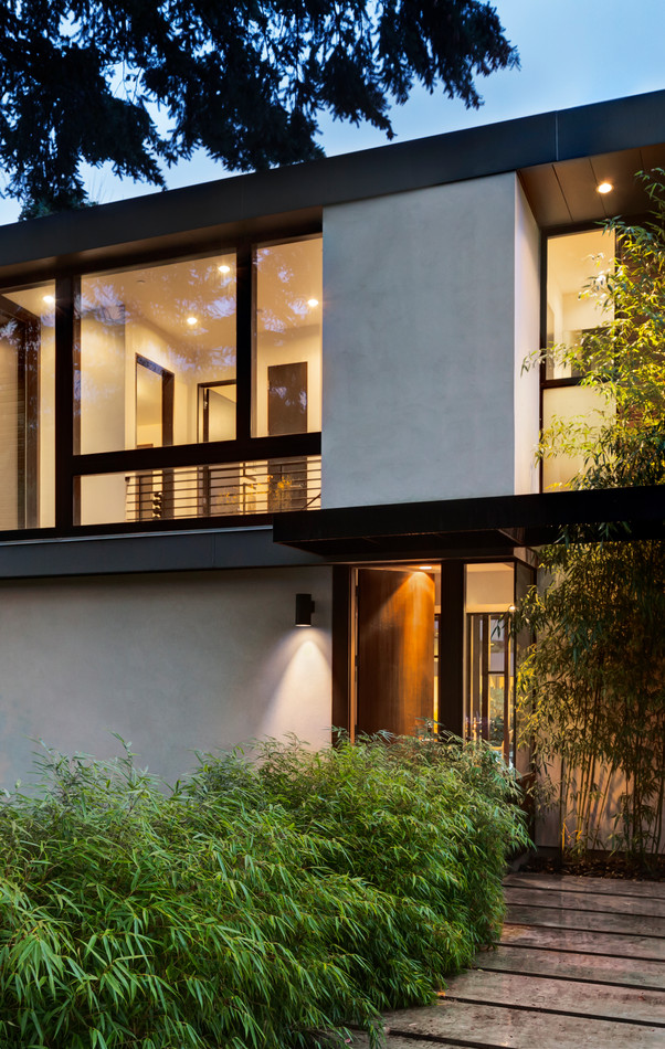 Modern House